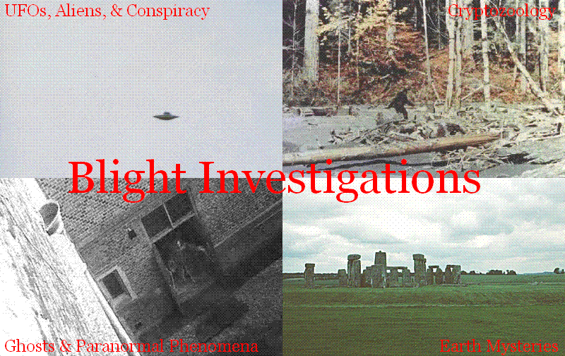 Blight Investigations